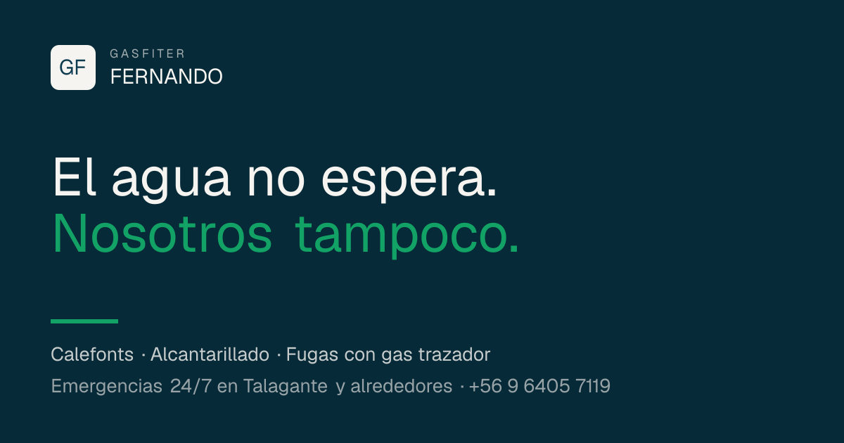 Sitio de Gasfiter Fernando